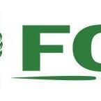 Financial Claims Consultants – No Win No Fee Pension Claims