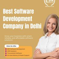 Best Software Development Company in Delhi
