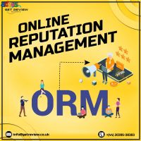 Online Reputation Management Services | ORM Services 