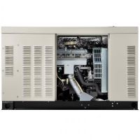 Generac Protector Series 30kW Home Standby Generator – Dual Fuel (LP/N