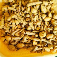 Turmeric powder and fingers 