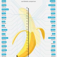 Country-by-Country Guide to Average Penis Sizes