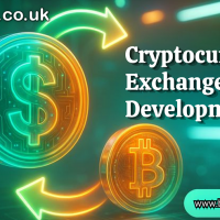 Leading Cryptocurrency Exchange Development Services provider In USA