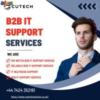 B2B IT Support Services: Empowering Your Business