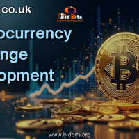 Top Cryptocurrency Exchange Development Services provider In USA