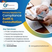 Audit And Consulting Services