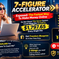 **7-Figure Accelerator / Freedom Blueprint Review: