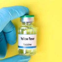 Yellow Fever: A Potential Travel Health Concern During Summer Season