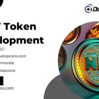  Develop Your NFT Token Today With Developcoins