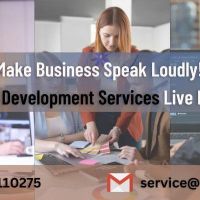 Let's Make Business Speak Loudly! Best Web Development Services Live N