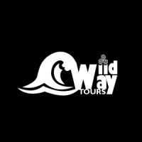 Plan Your Dream Holiday with a Private Tour Ireland – Wild Way Tours