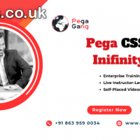 Enroll CSSA Online Training By IT Experts – Start with PegaGang!