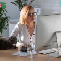 Hospitality Property Management Systems: Transforming Hotel Operations
