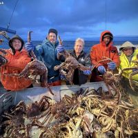Live King Crab Premium Norwegian Red King Crab Supplier