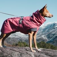 Doggie Coats