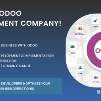 Looking for Expert Odoo Development Services? 