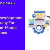 LLM Development Company for Custom Model Solutions