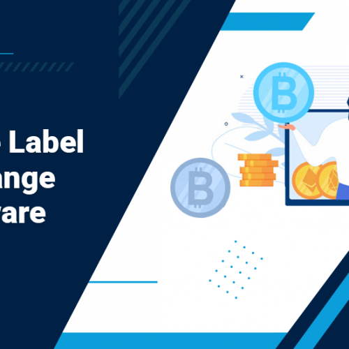 Launch Your Exchange with the UK’s Best White Label Exchange Software