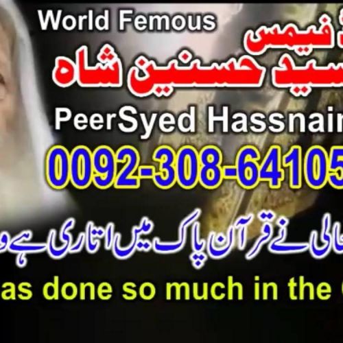 Famous Astrologer Top No1 Scholars centre online love marriage peer G