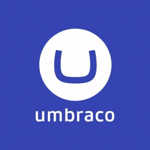Umbraco Website Development Company