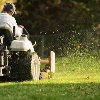 Best gardening services in Dundee