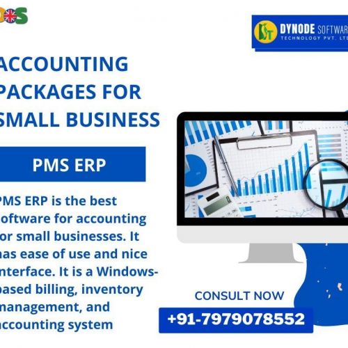 Accounting and Inventory Software for Small Business 